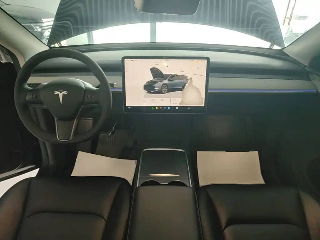 Tesla Model Y — миниатюра 10