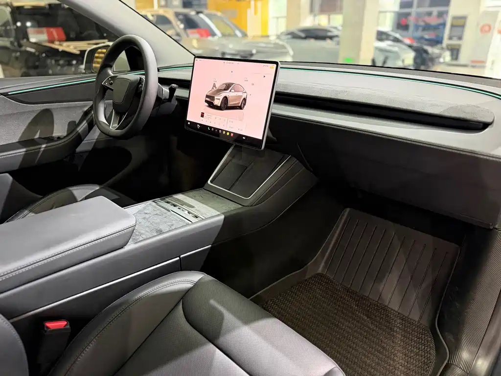 Tesla Model Y — миниатюра 10