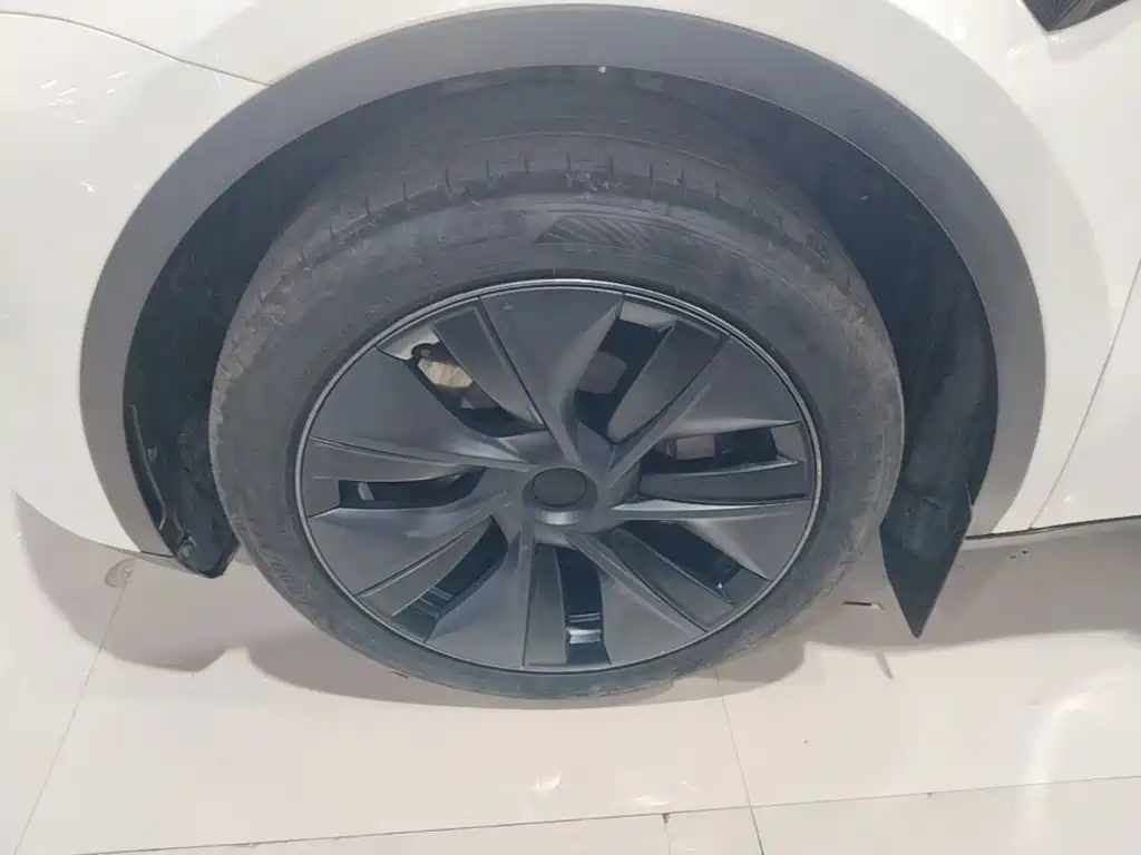 Tesla Model Y — миниатюра 25