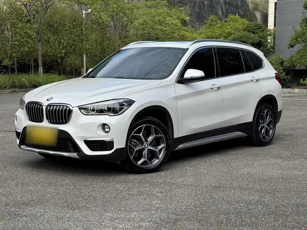 BMW X1 — миниатюра 2