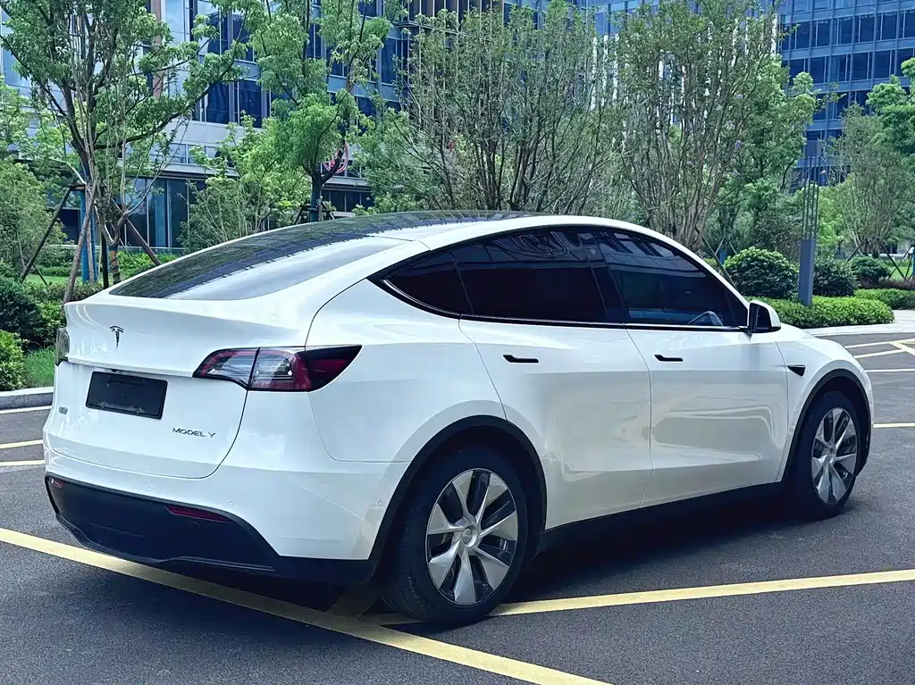 Tesla Model Y — миниатюра 9