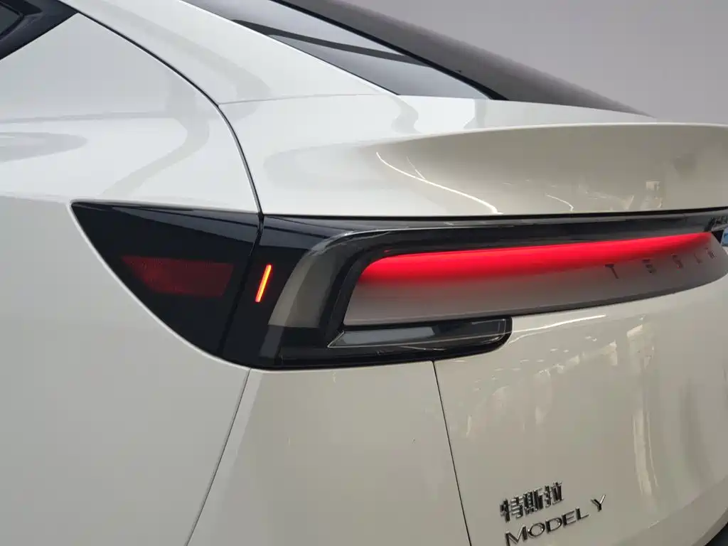 Tesla Model Y — миниатюра 9
