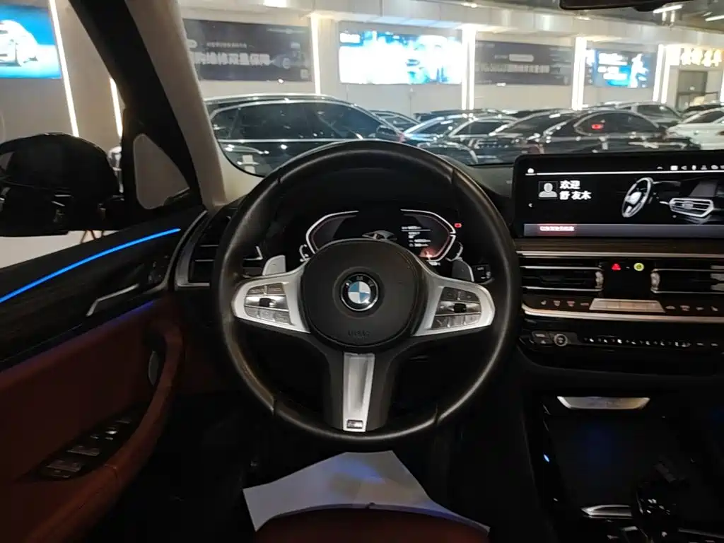 BMW X3 — миниатюра 7
