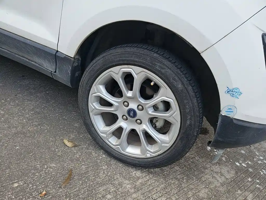 Ford Ecosport — миниатюра 24