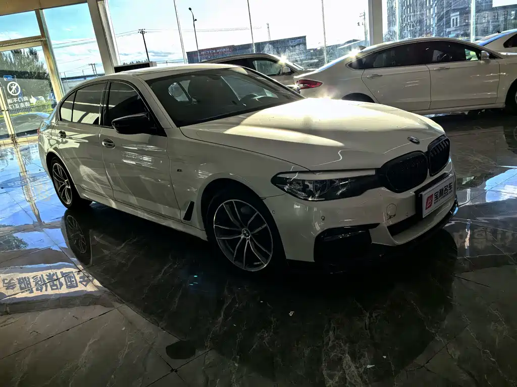BMW 5 Series — миниатюра 8
