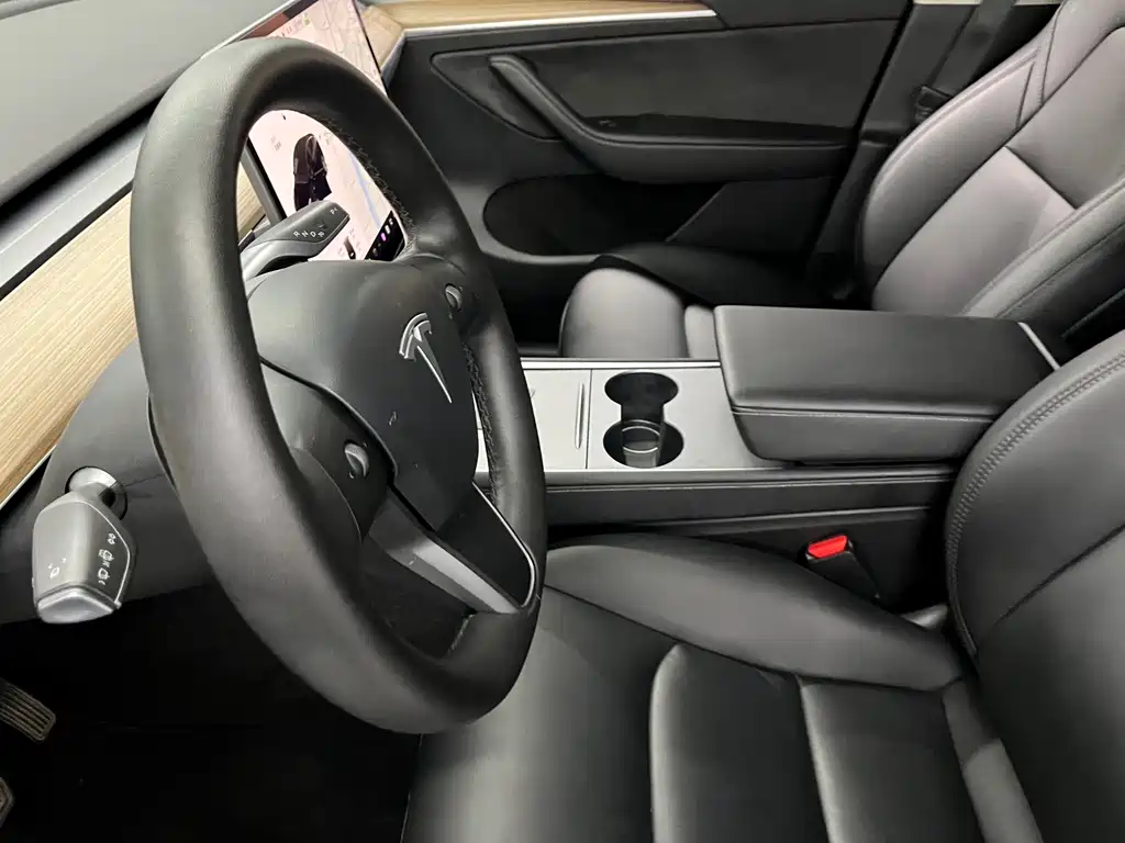 Tesla Model Y — миниатюра 7