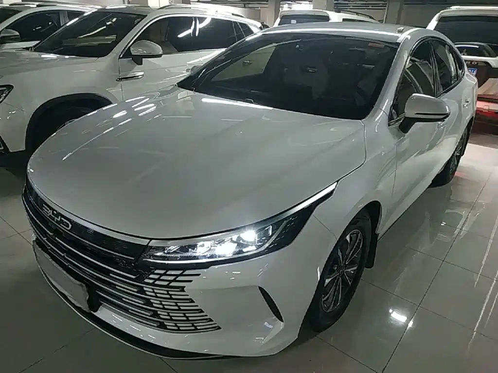 Byd Destroyer 05 2024