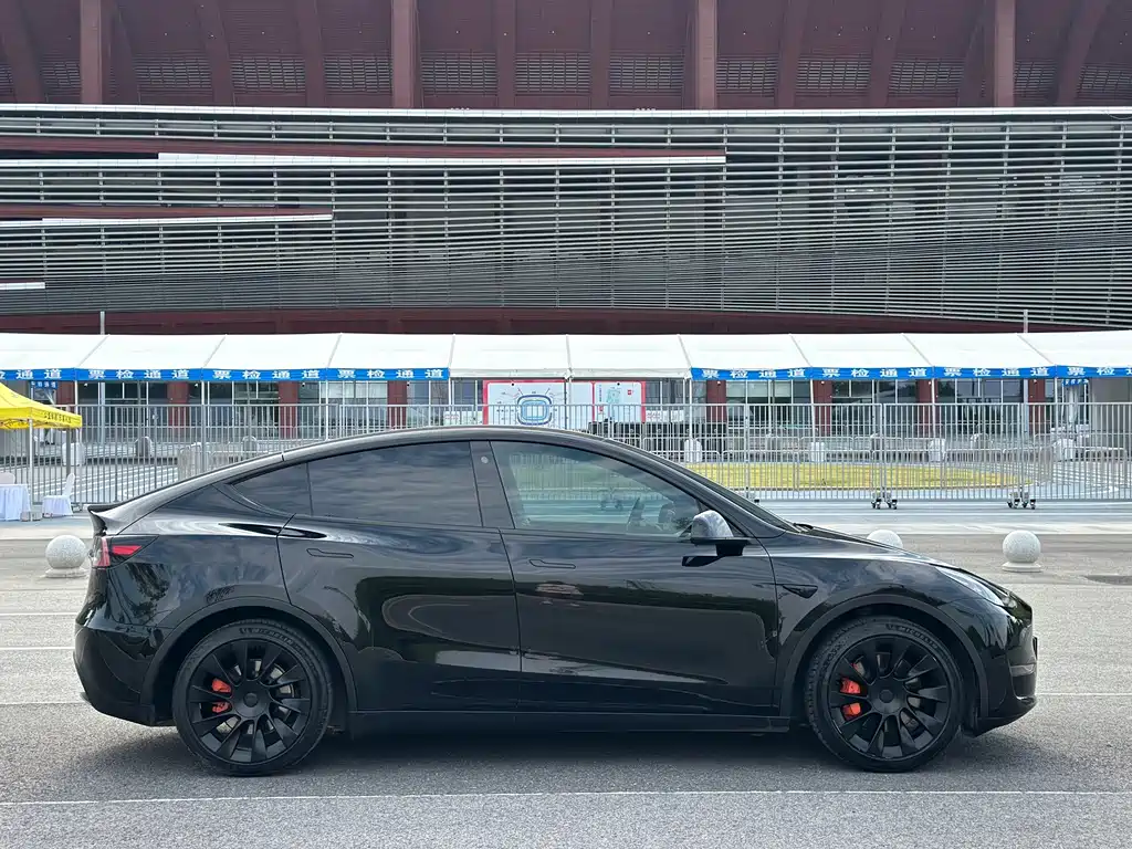 Tesla Model Y — миниатюра 16