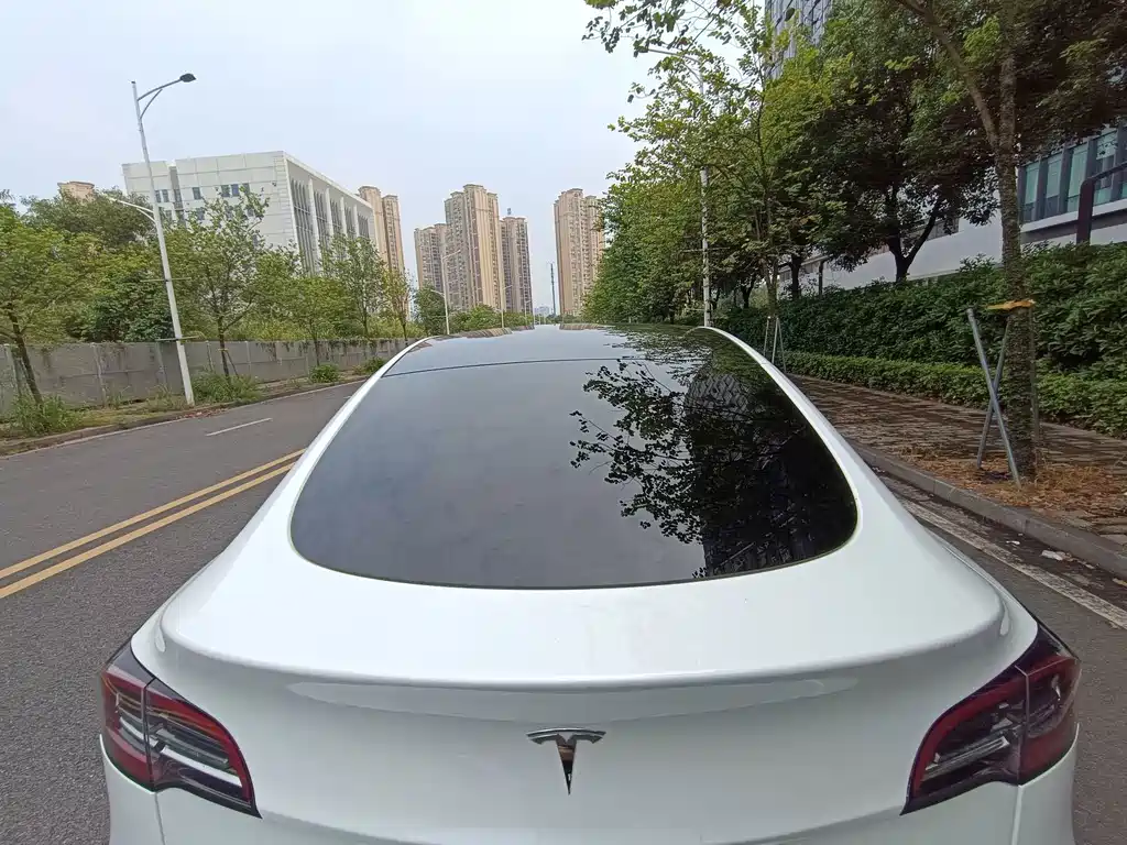 Tesla Model Y — миниатюра 11