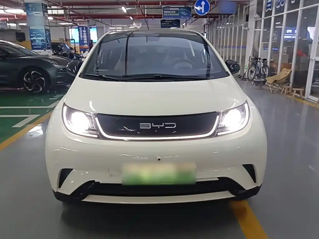 BYD Dolphin — миниатюра 3