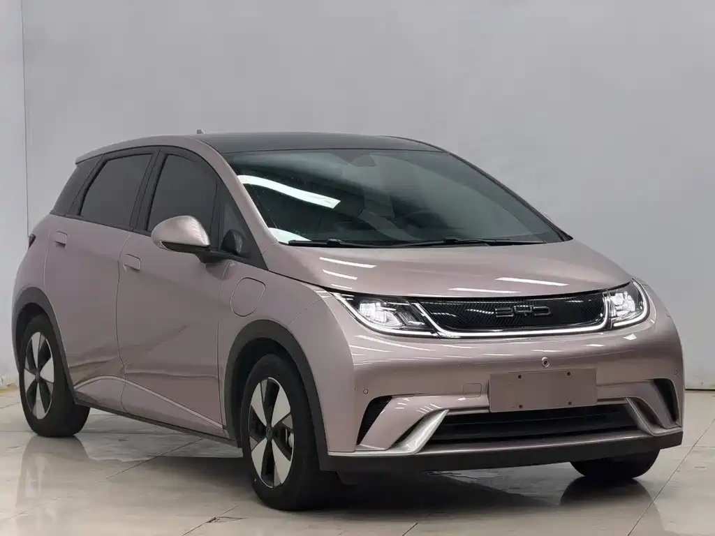 BYD Dolphin — миниатюра 3