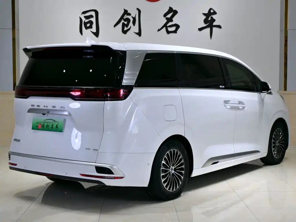Denza Denza D9 — миниатюра 6