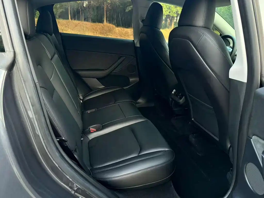 Tesla Model Y — миниатюра 11