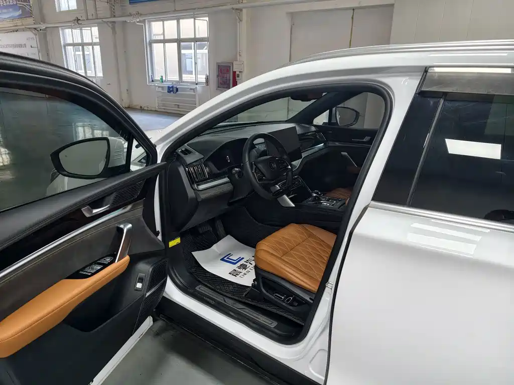 BYD Tang New Energy — миниатюра 13