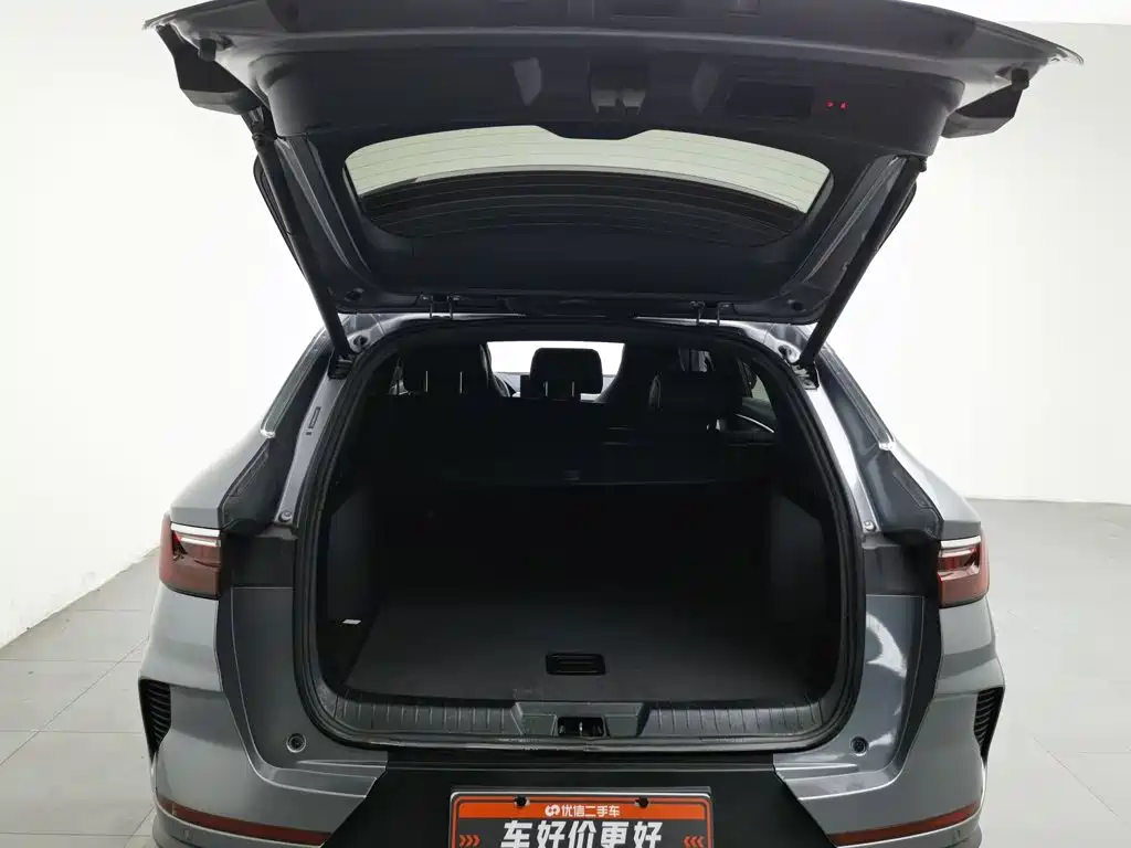 BYD PLUS New Energy — миниатюра 16