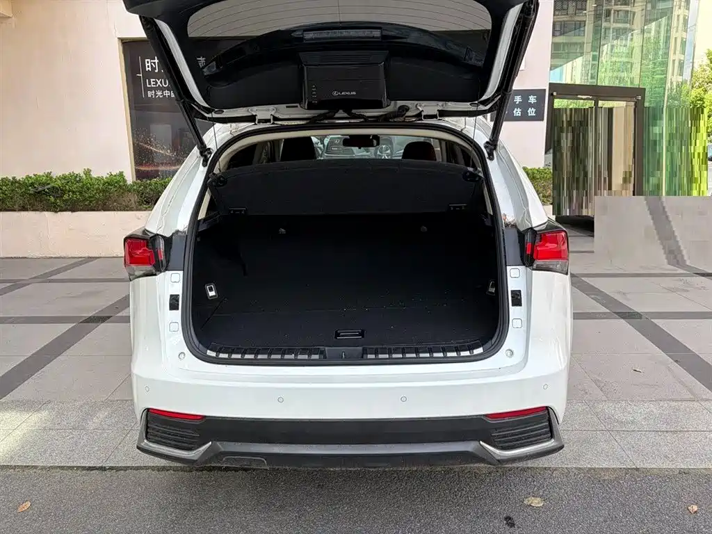 Lexus NX — миниатюра 8