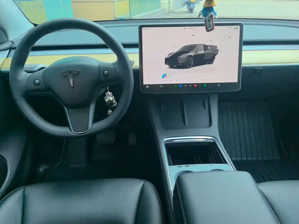 Tesla Model Y — миниатюра 10