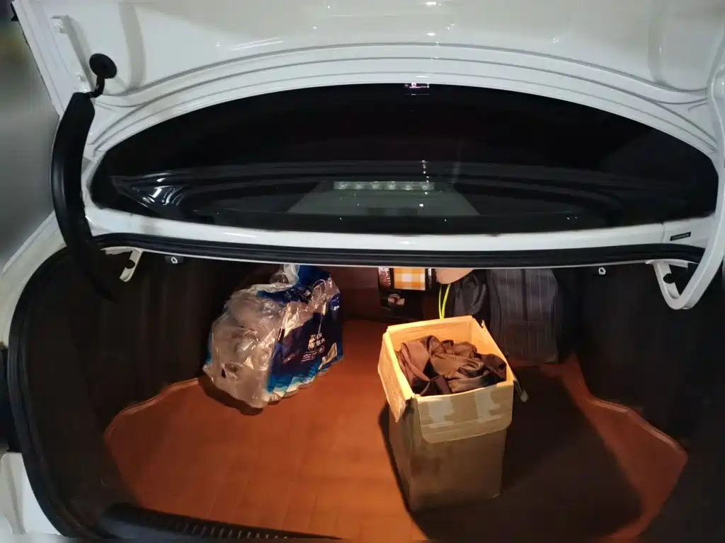 Volkswagen Sagitar — миниатюра 10