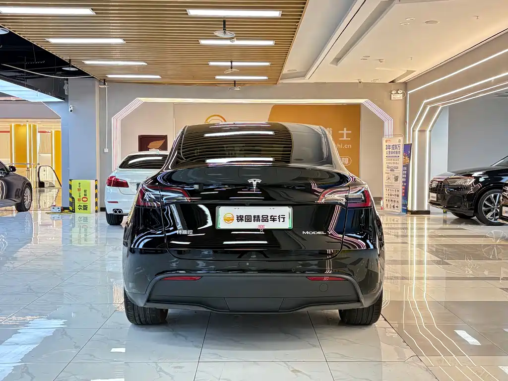Tesla Model Y — миниатюра 4