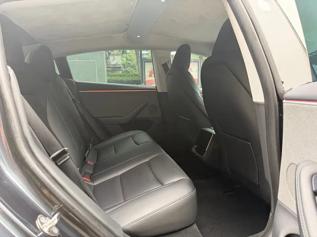 Tesla Model 3 — миниатюра 7