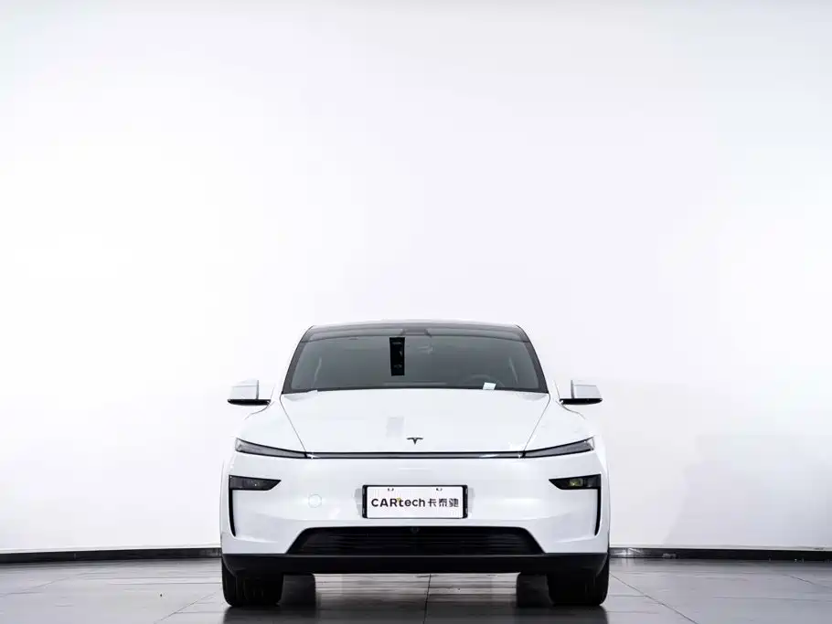 Tesla Model Y — миниатюра 4
