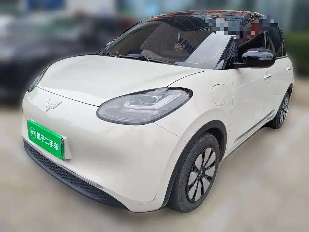 Wuling Bingo