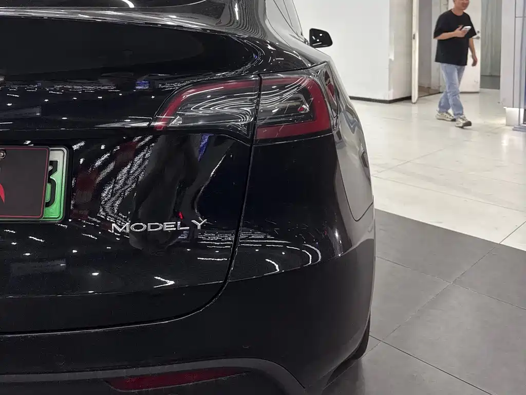 Tesla Model Y — миниатюра 6
