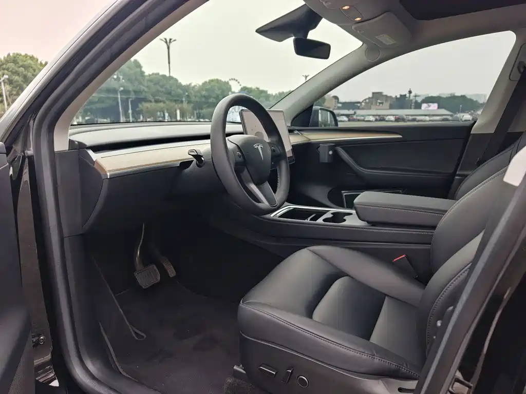 Tesla Model Y — миниатюра 6