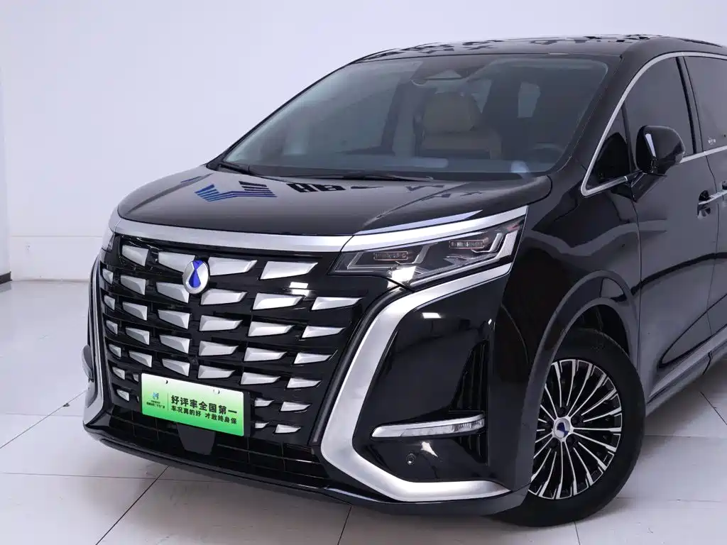 Denza Denza D9 — миниатюра 3