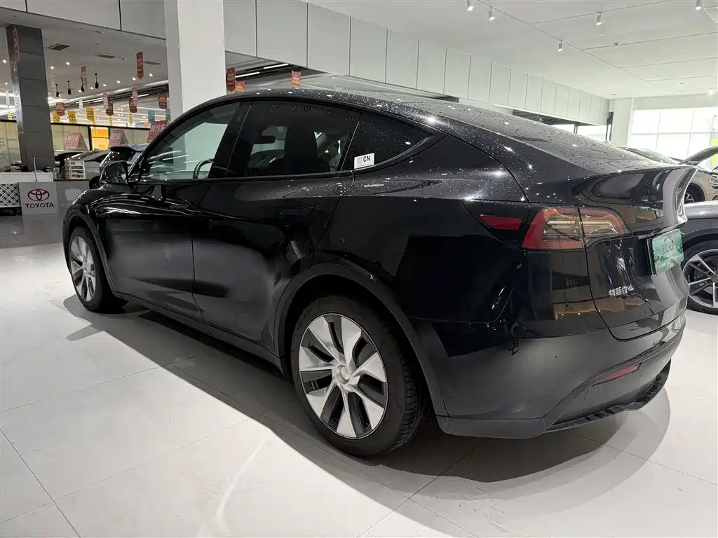 Tesla Model Y — миниатюра 6