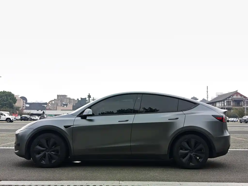 Tesla Model Y — миниатюра 3