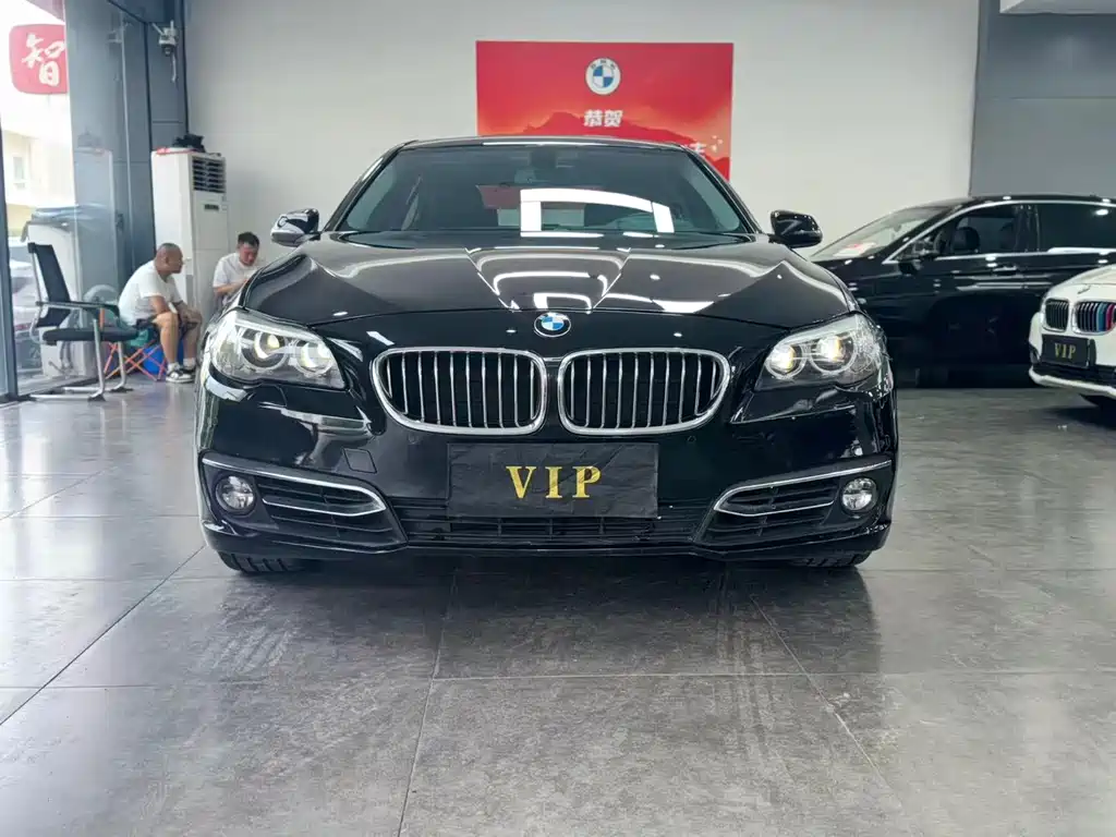 BMW 5 Series — миниатюра 2