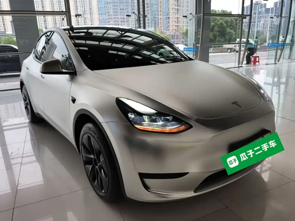 Tesla Model Y — миниатюра 4