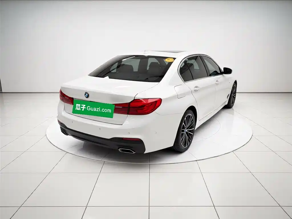 BMW 5 Series 5 2020 530Li Premium M Sport
