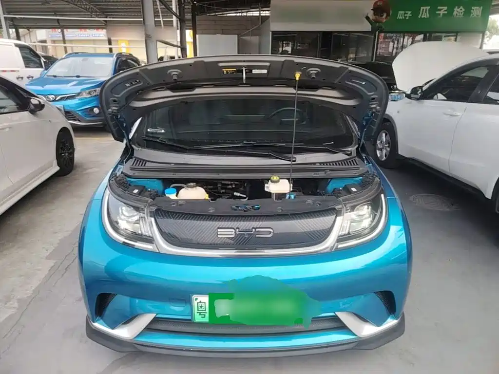 BYD Dolphin — миниатюра 20