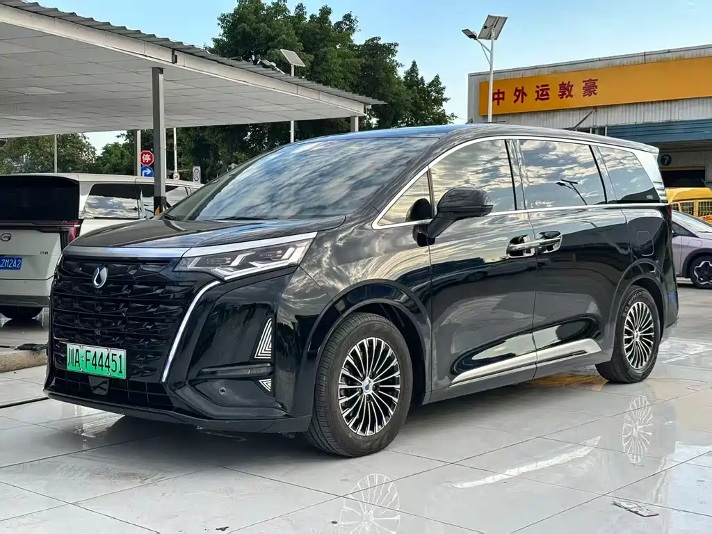 Denza Denza D9