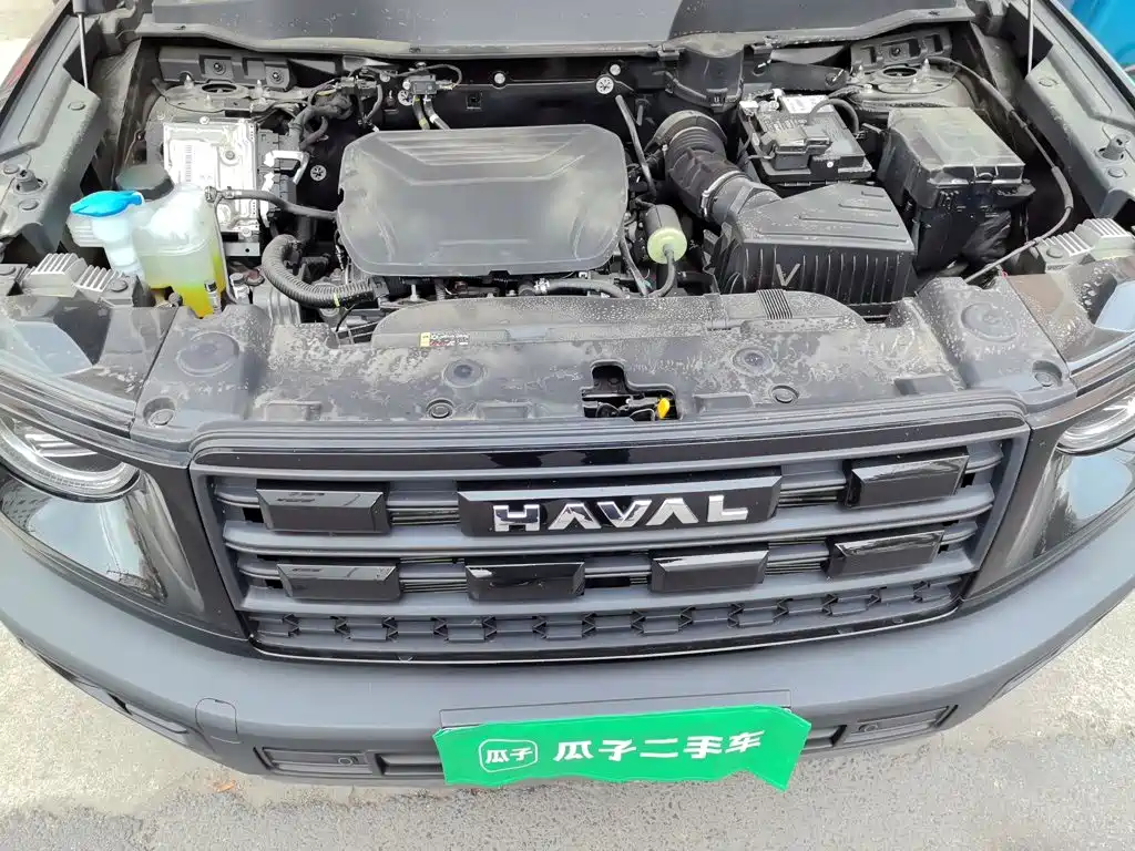 Haval Big Dog — миниатюра 16