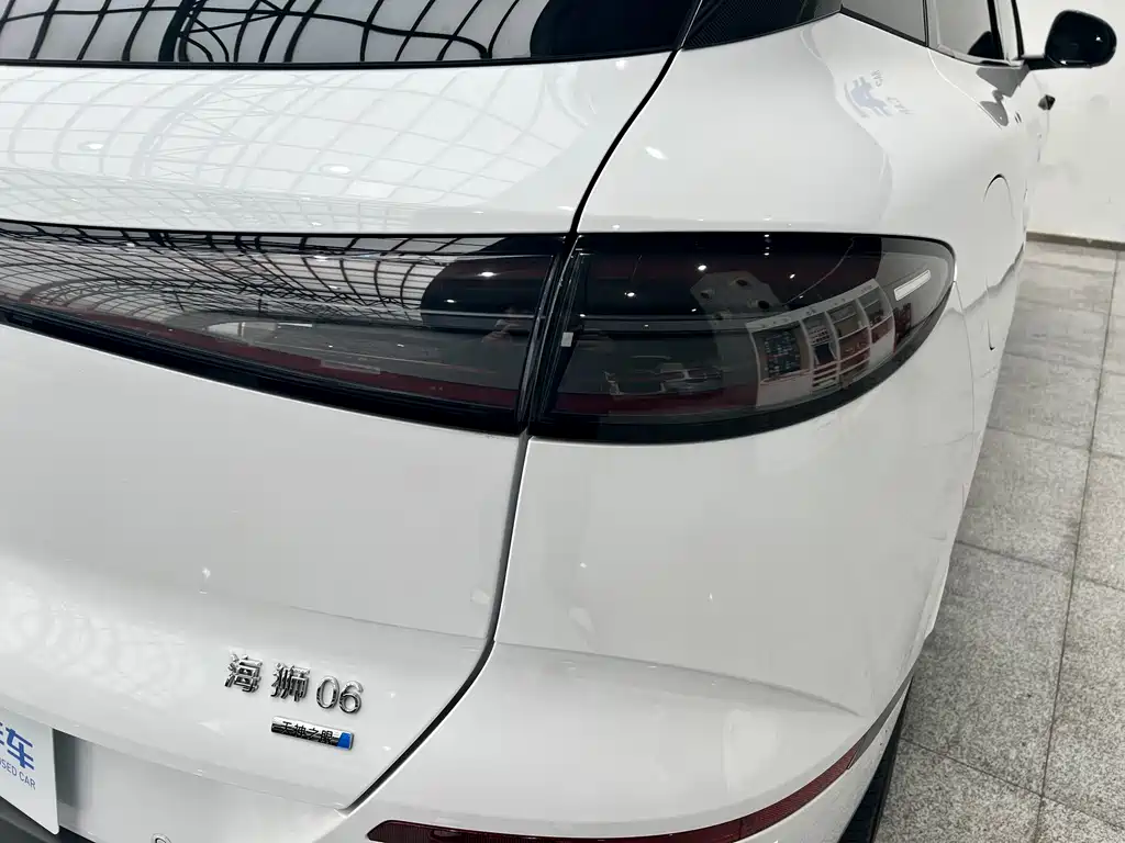 BYD SEA LION 06 NEW ENERGY