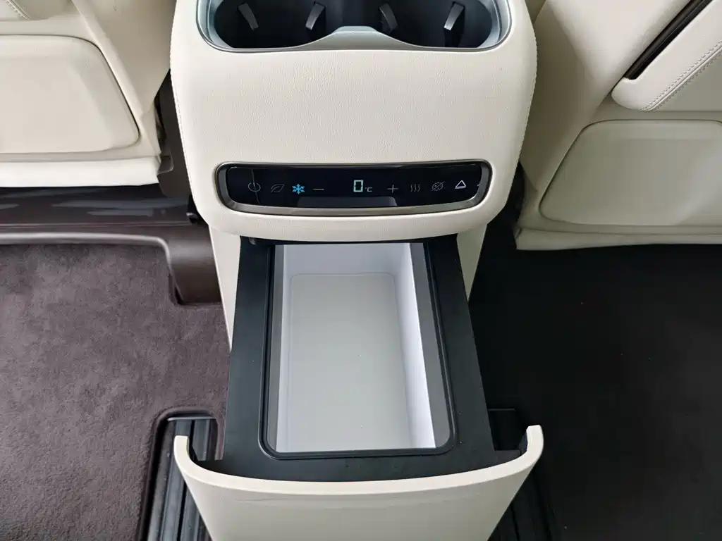 Denza Denza D9 — миниатюра 18