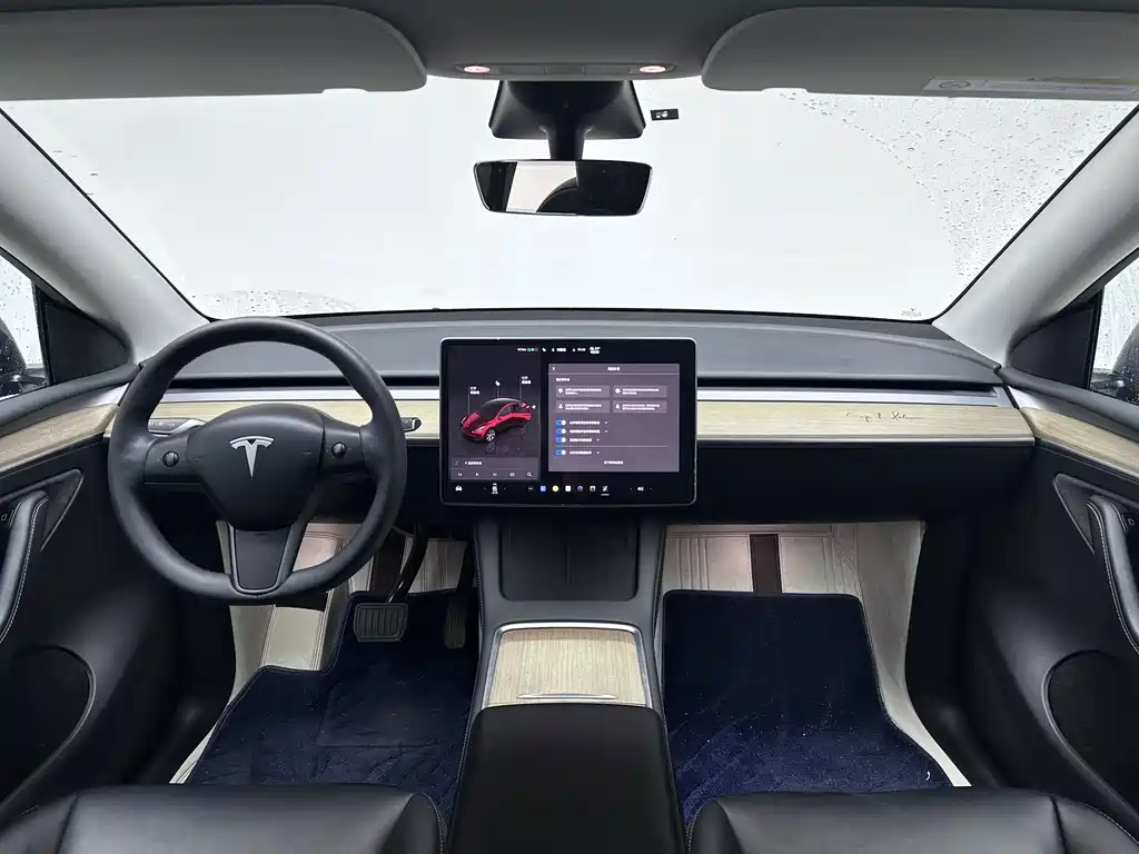 Tesla Model Y — миниатюра 12
