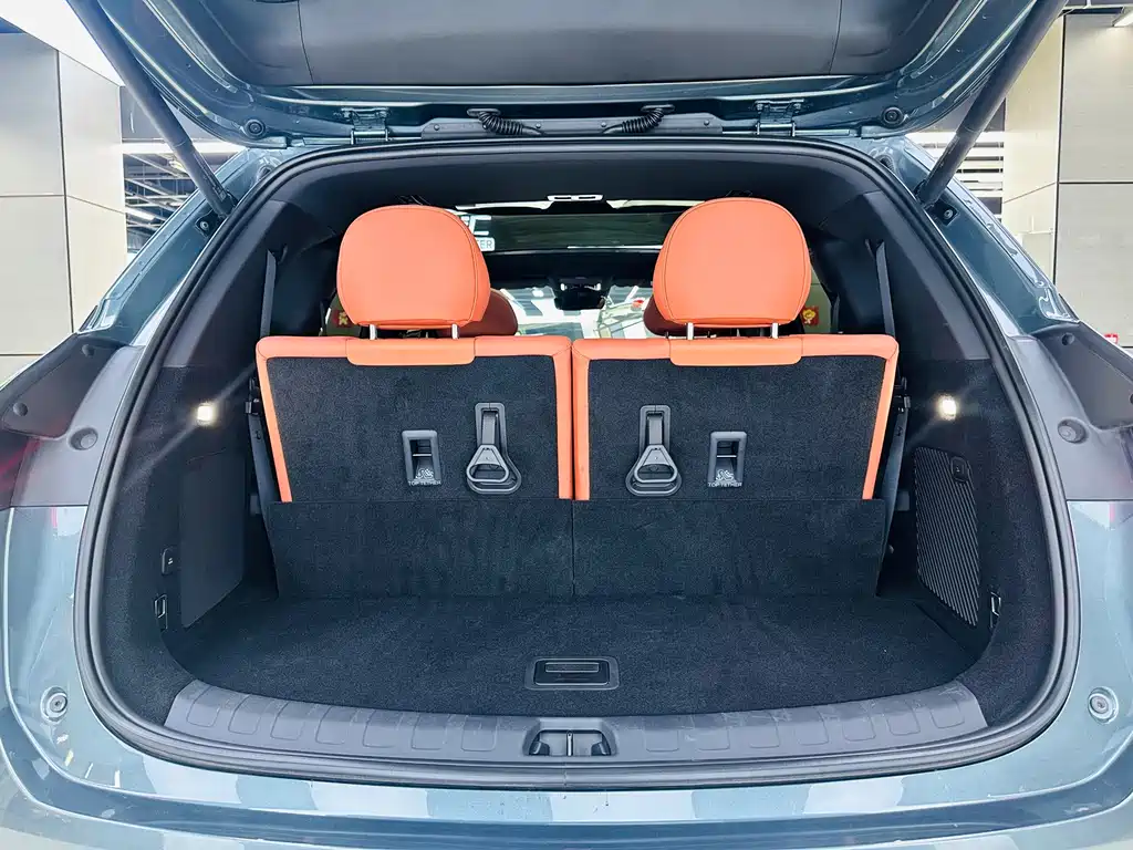BYD Tang L - фото 24