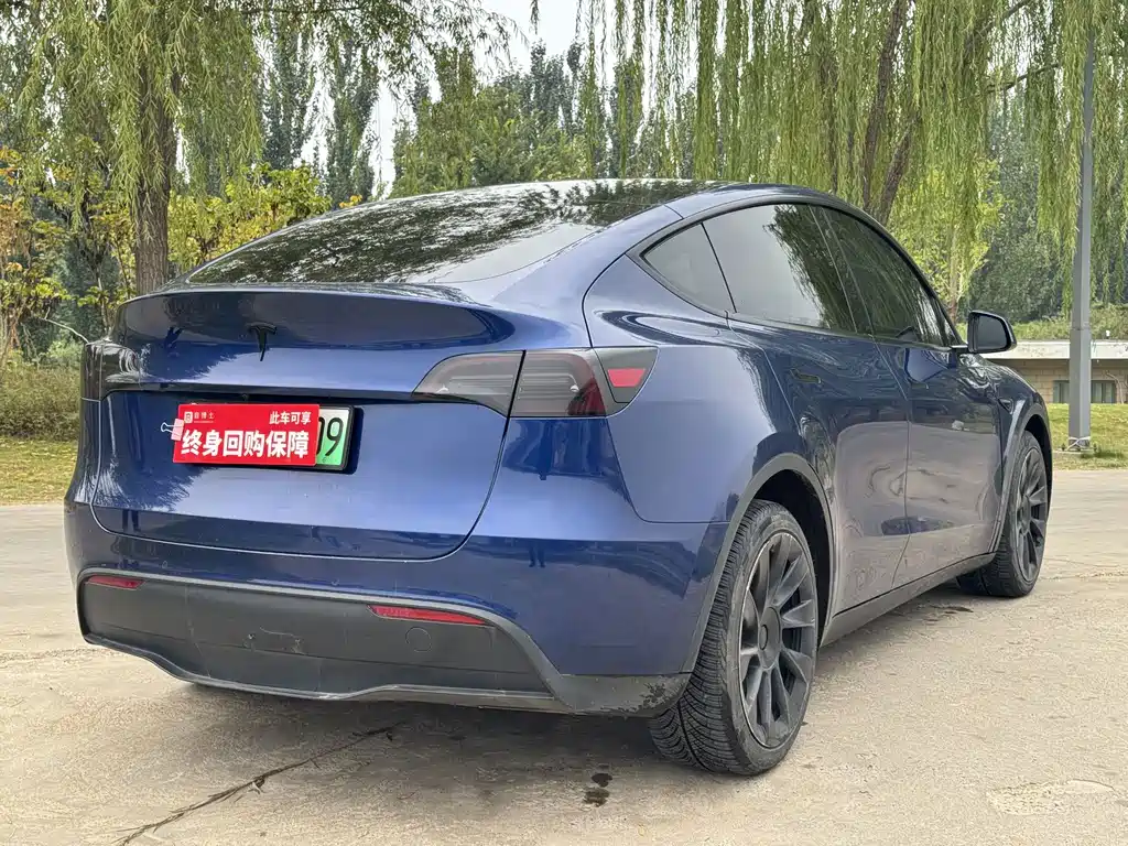Tesla Model Y — миниатюра 11