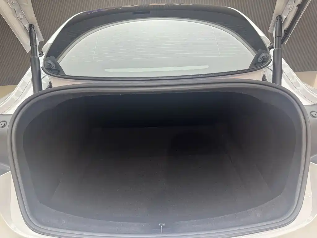 Tesla Model 3 — миниатюра 7