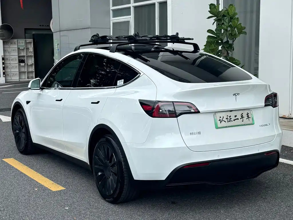 Tesla Model Y — миниатюра 20