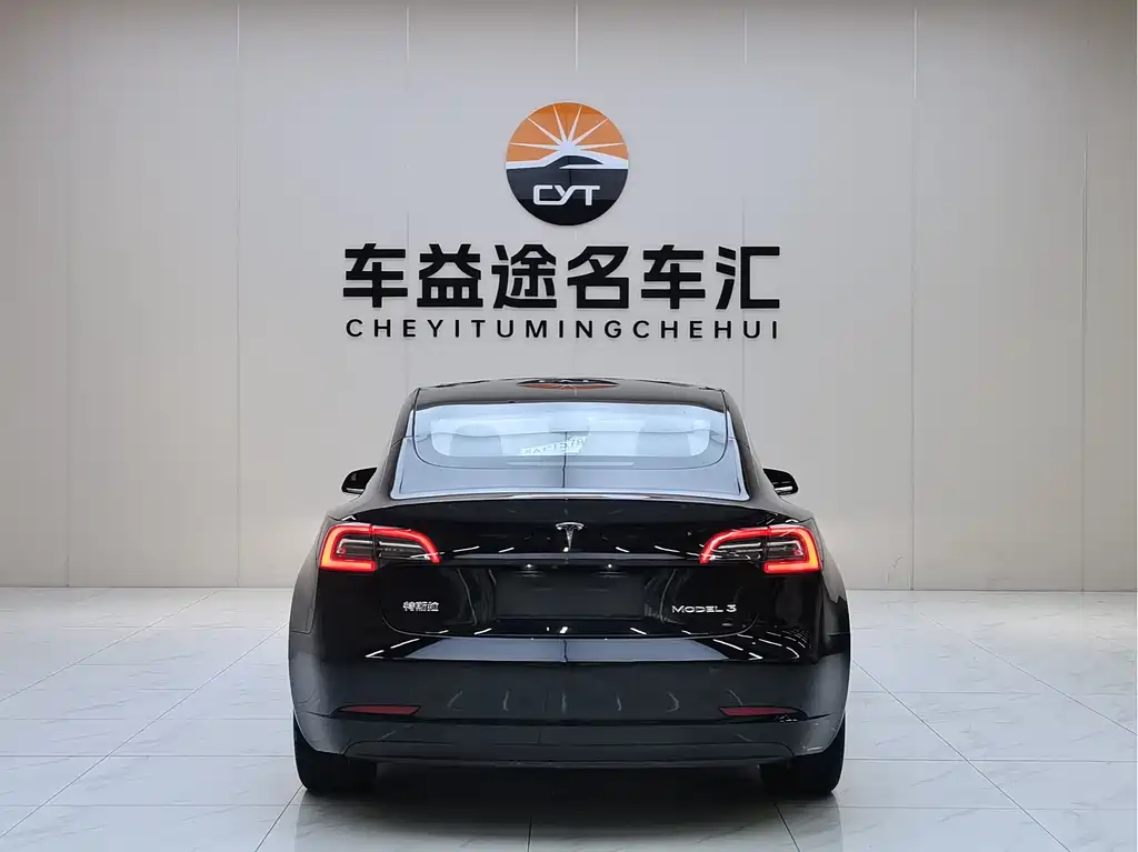 Tesla Model 3 — миниатюра 4
