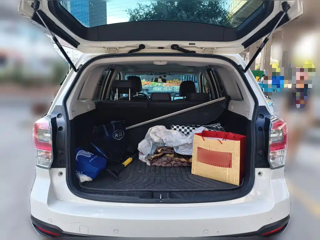 Subaru Forester — миниатюра 10