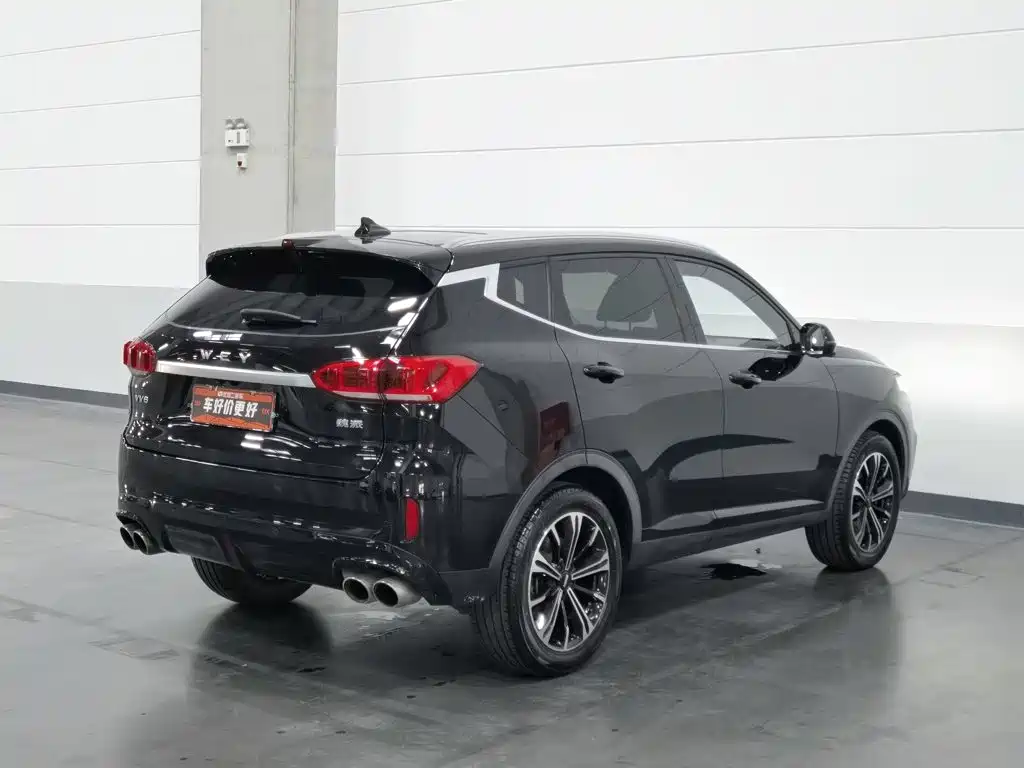 Wey Wey VV6 — миниатюра 2
