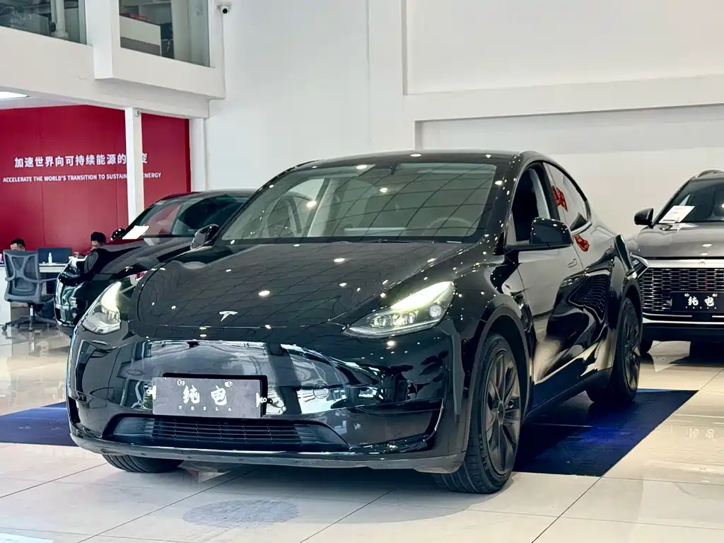 Tesla Model Y — миниатюра 2