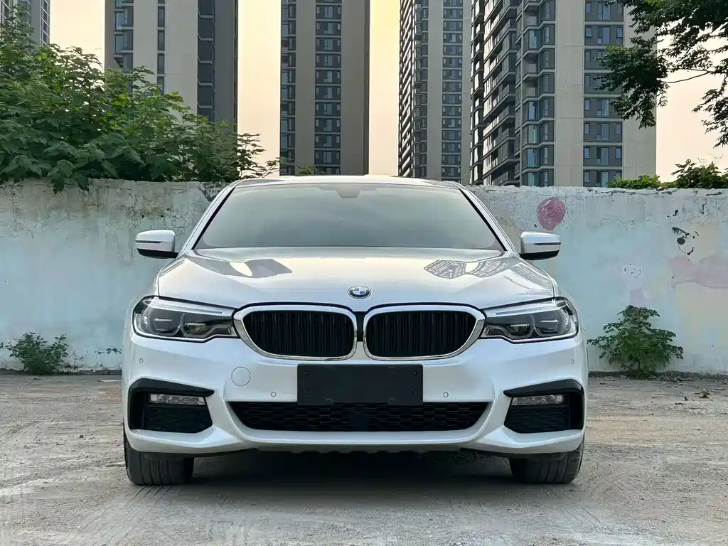 BMW 5 Series — миниатюра 2