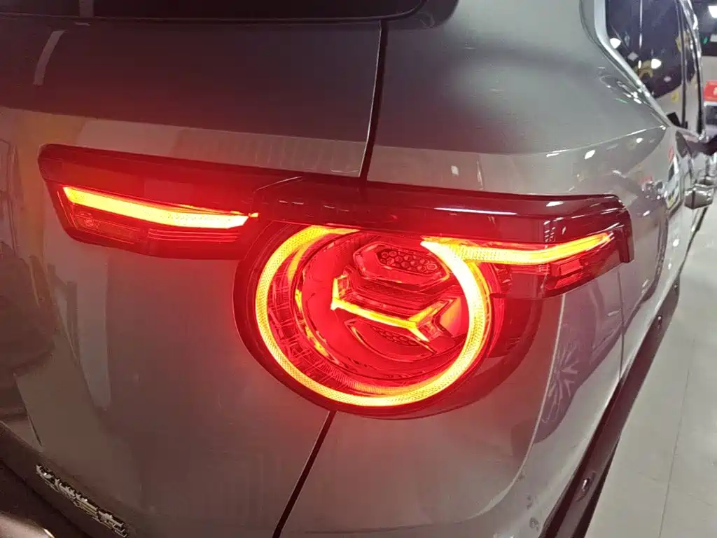 Haval Big Dog PLUS — миниатюра 8
